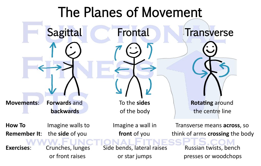 Diagram explaining the three planes of movement as taught in Level 2 Certificate in Gym Instructing and Level 3 Diploma in Personal Training (Practitioner) courses taught by YMCA and Active IQ: sagittal, frontal and transverse. Picture of planes of movement. What are the three planes of movement? What do sagitall, frontal and transverse mean?