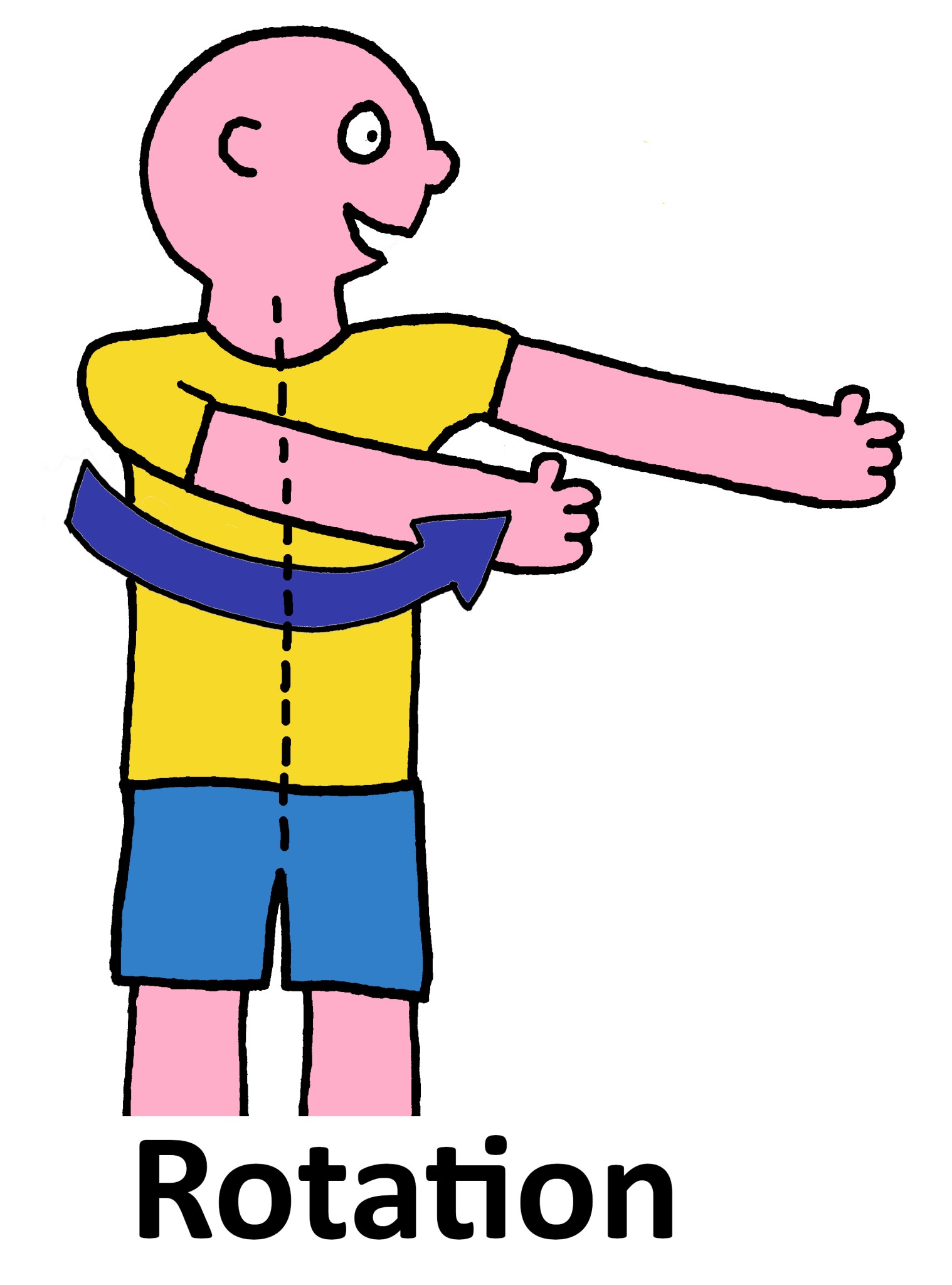 What Are the Anatomical Joint Movement Terms? – Functional Fitness PTS