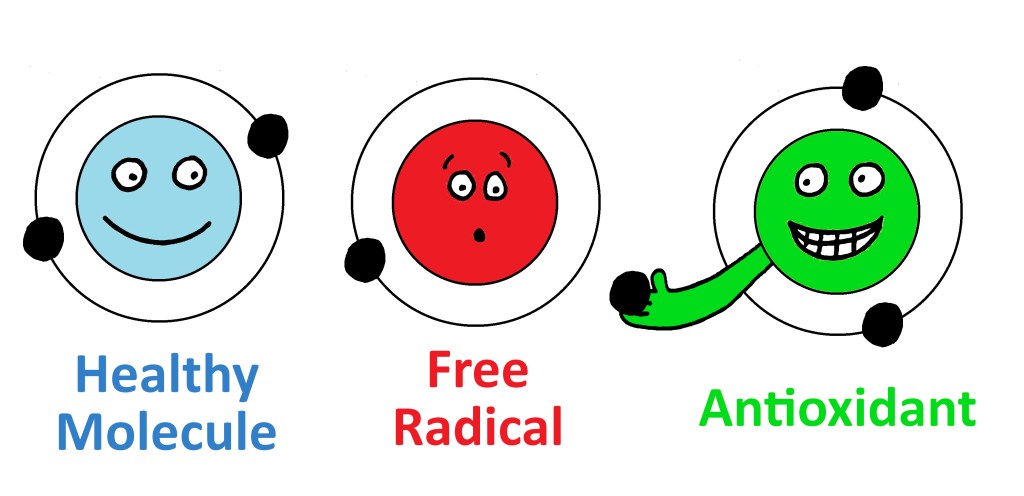 An Antioxidant offering an electron to a Free Radical, explaining how antioxidants neutralise the threat of free radicals.